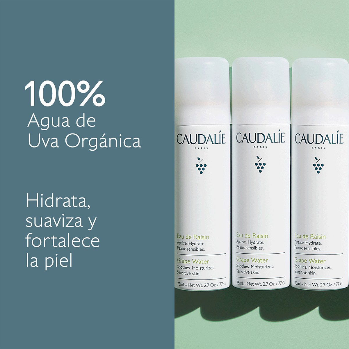 BRUMA FACIAL DE UVA